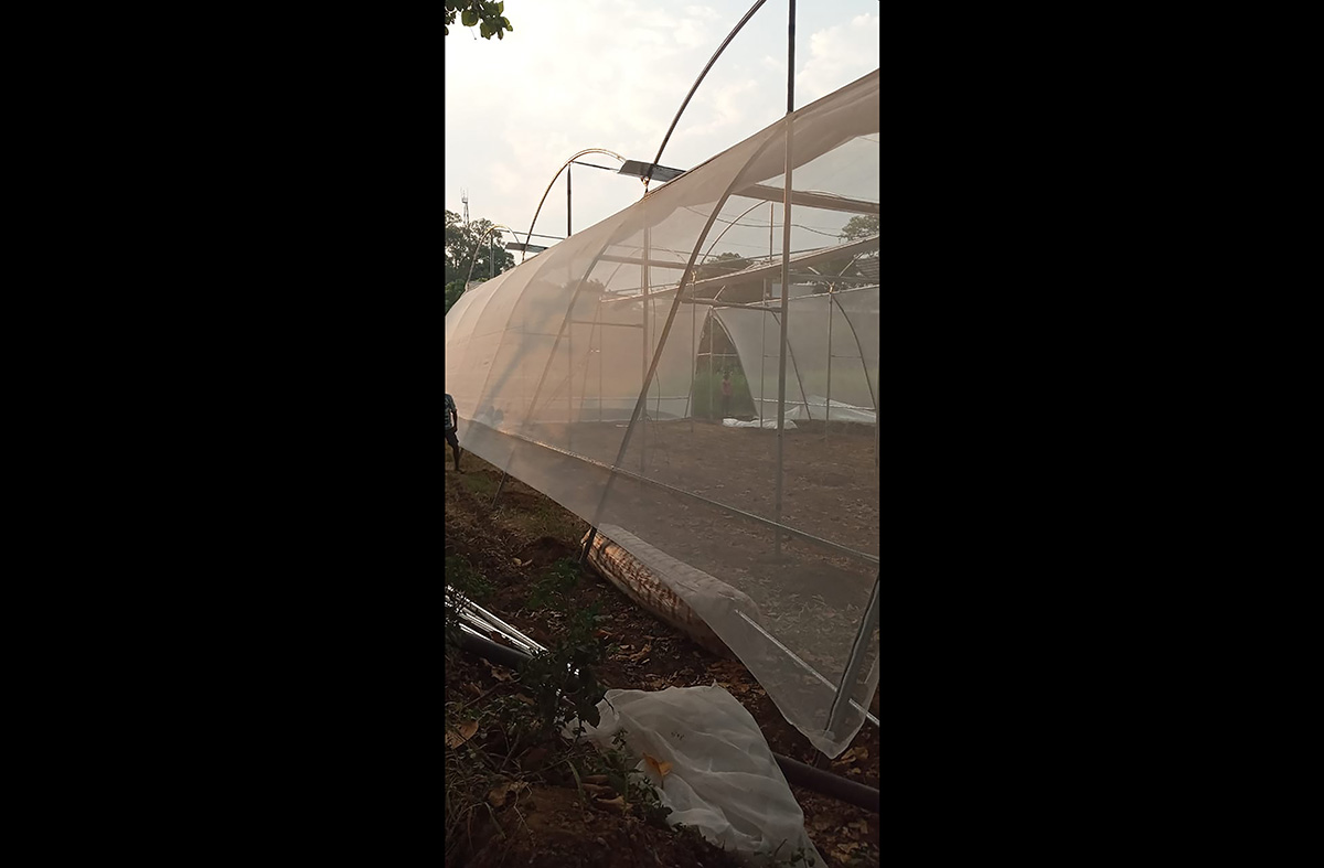 Agri-Sheds LBP 04